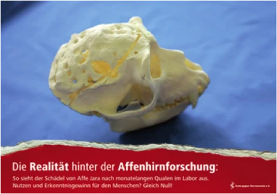 Affenschädel