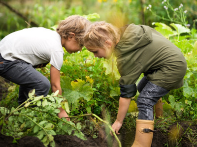 Eine Forscherin bei der Arbeit