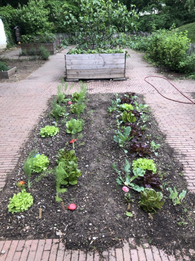 Ein Beet in einem Schulhof