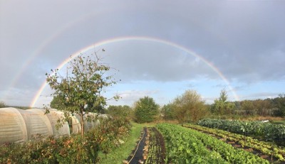 Permakultur im Panorama