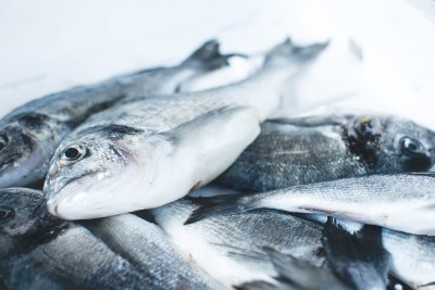 Gefangener Fisch liegt auf einem Haufen