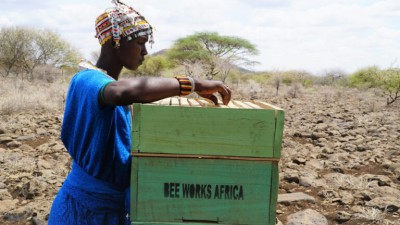 Eine Imkerin mit Bienenkasten