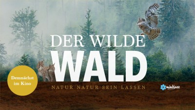 Teaser Wilder Wald