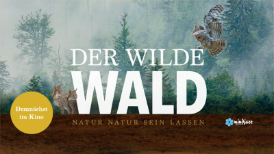 Teaser Wilder Wald