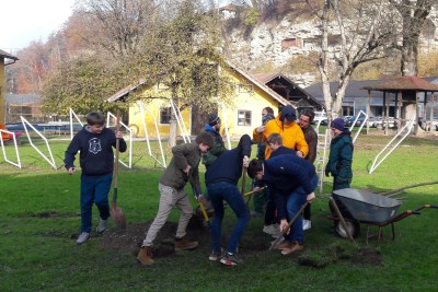 Kinder pflanzen eine Eiche