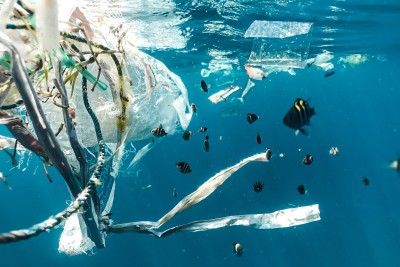 Fische schwimmen im Plastikmüll im Meer