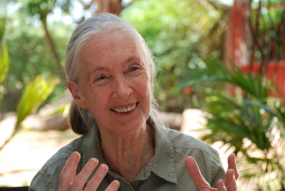 Jane Goodall blickt lachend in die Kamera