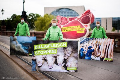 Eine Demo zur Kampagne