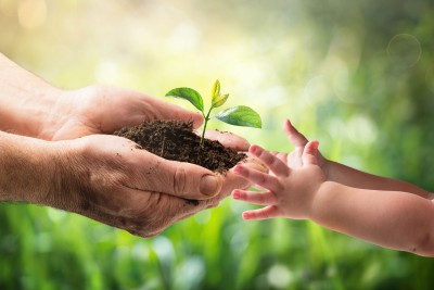 Eine erwachsene Hand übergibt einer Kinderhand eine Pflanze