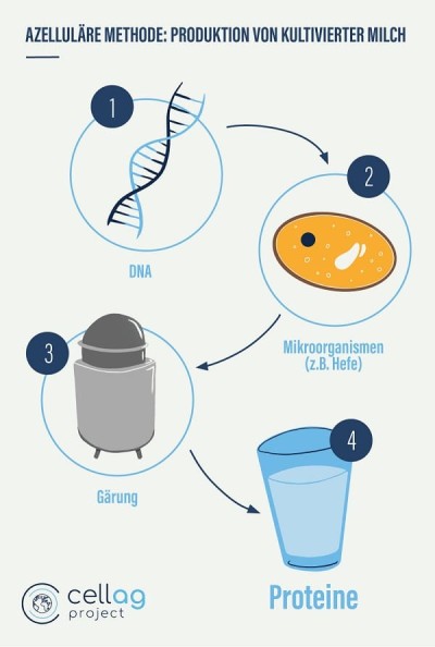 Infografik Milchproduktion