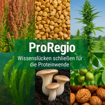 Eine Collage verschiedener pflanzlicher Proteine