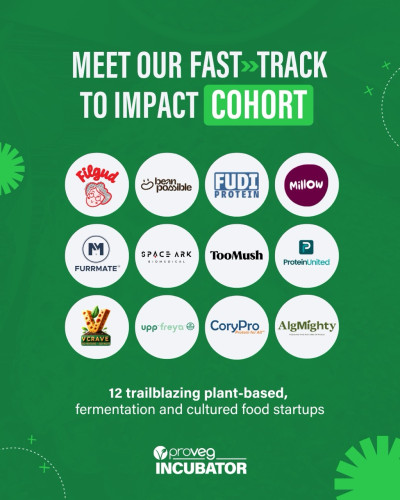 Ein Schaubild mit Startups aus der Lebensmittelbranche