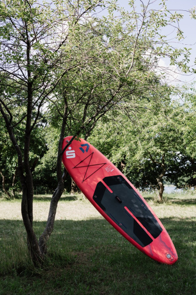 Ein SUP leht. an einem Baum