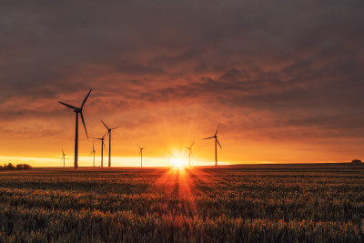 Windräder im Sonnenuntergang