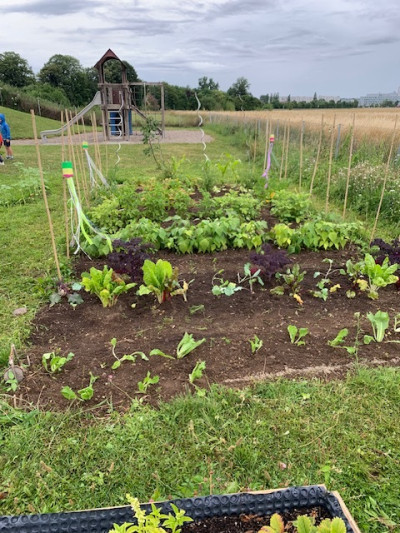 Angelegter Acker des Kindergartens