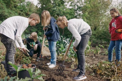 Kinder ernten Gemüse