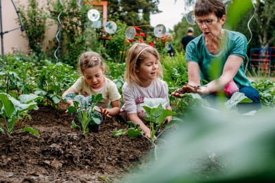 Kinder und Erwachsene ernten Gemüse