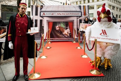 Demo-Veranstaltung der Albert Schweitzer Stiftung