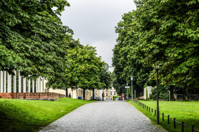 Bäume in München