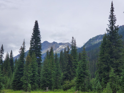 Ein Blick durch die Wälder auf die Berge