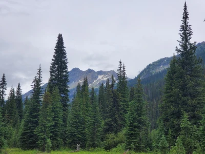 Ein Blick durch die Wälder auf die Berge