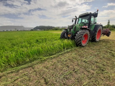 Ein Traktor pfügt ein Feld
