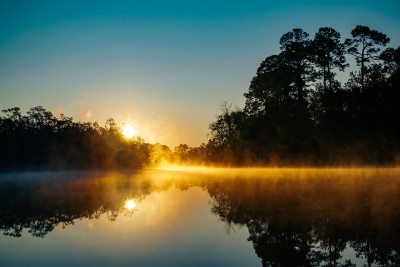 Ein Teich in der Morgensonne