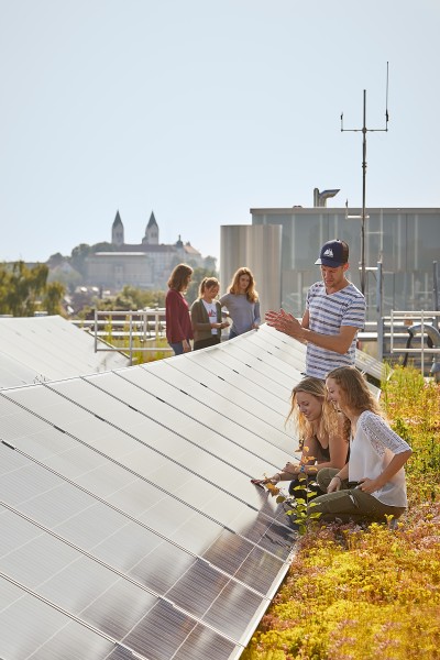 Menschen begutachten ein Solardach