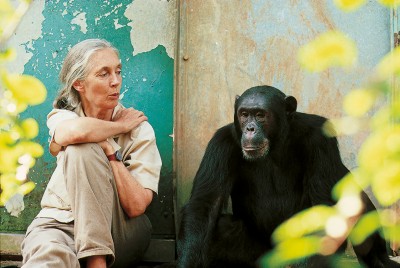 Jane Goodall mit Affe