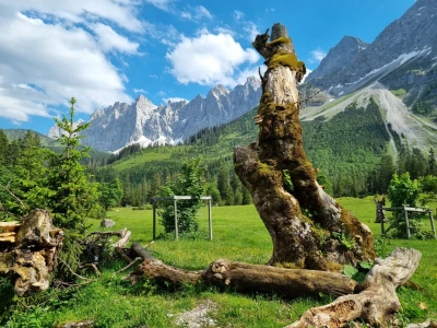 Ein Gebirge und eine Alm