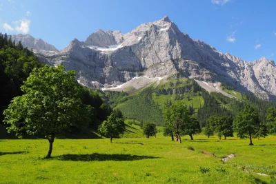 Ahornbäume mit Gebirge im Hintergrund