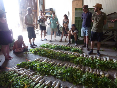 Menschen stehen um ihre Ernte