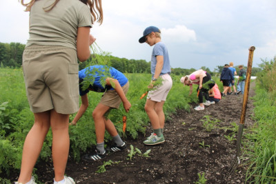 Personen auf dem Acker