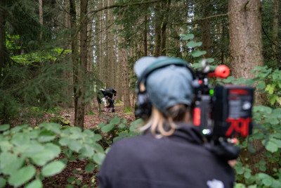 Eine Kuh wird im Wald gefilmt