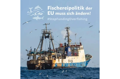 Plakat Kampagne für Meeresschutz