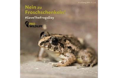 Plakat zur Froschschenkelkampagne