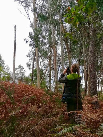 Ein Mensch steht im Wald