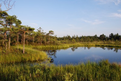 Ein See im Moor