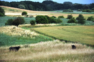 Landschaft der Sernitzniederung