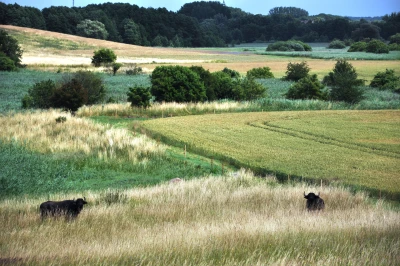 Landschaft der Sernitzniederung