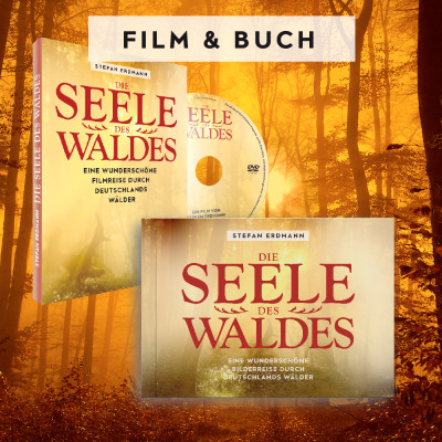 Filmplakat