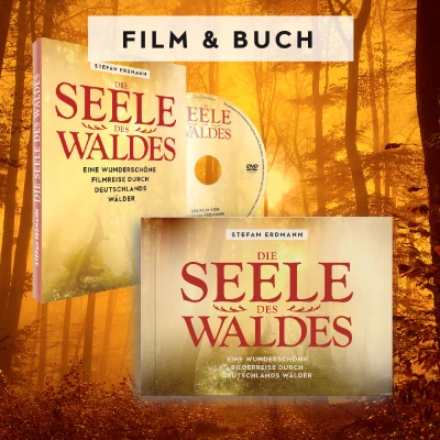 Filmplakat