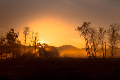 Sonnenaufgang im Moor
