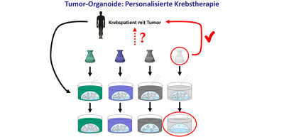 Übersicht Personalisierte Krebstherapie