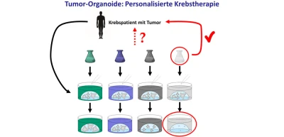 Übersicht Personalisierte Krebstherapie
