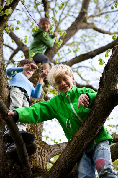 Ein Kind klettert im Baum