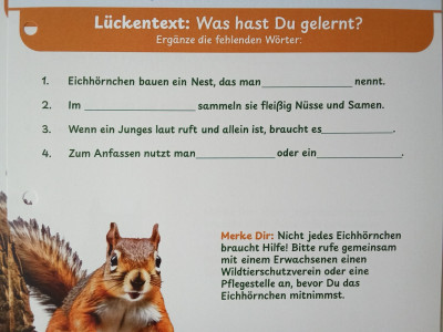 Ein Arbeitsblatt für Kinder