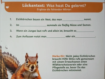 Ein Arbeitsblatt für Kinder