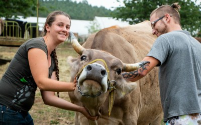 Biodynamische Ausbildung